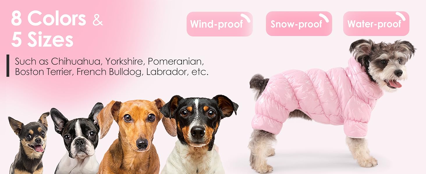 dog puffer jacket