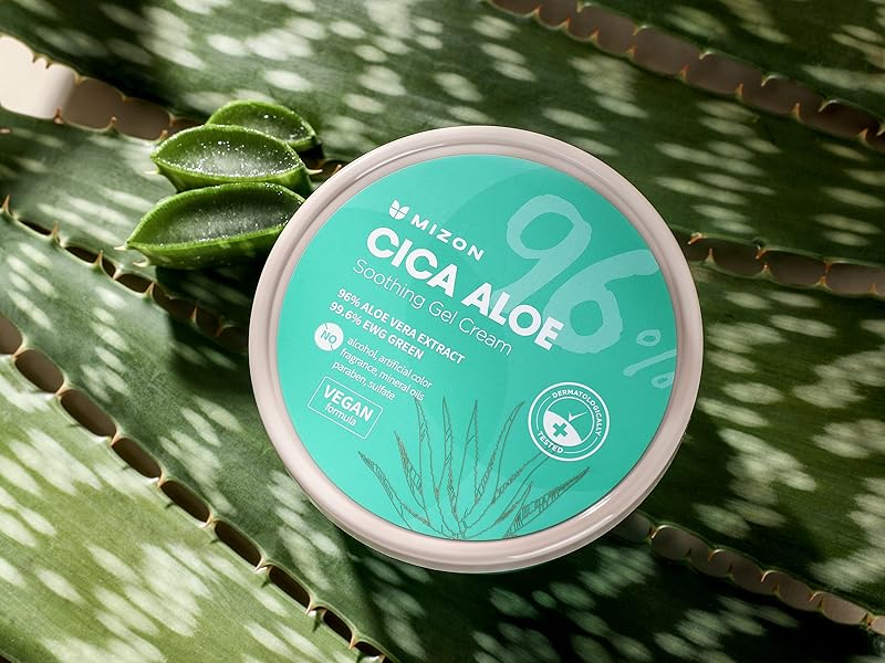 Amazon.com: MIZON Cica Aloe 96% Soothing Gel Cream