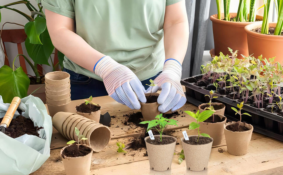Germination Nursery Pots