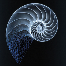 The essential oil is quickly atomized.