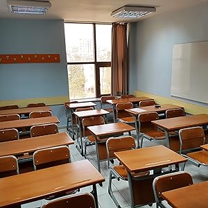 PATIKIL Wood Perpetual Calendar, Desktop Acrylic Calendar Stand Wooden Month Week Date Display for Desk Shop Office Home Decoration, Green 16 1