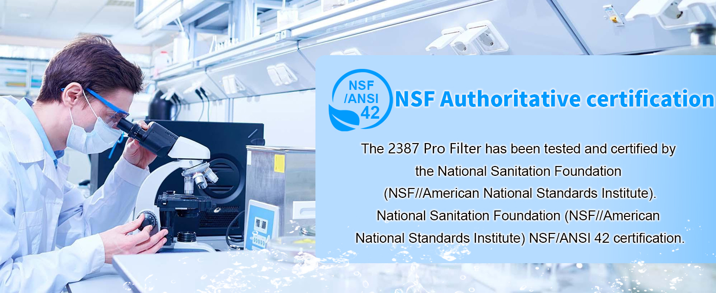 Replacement 2387 Pro Filter