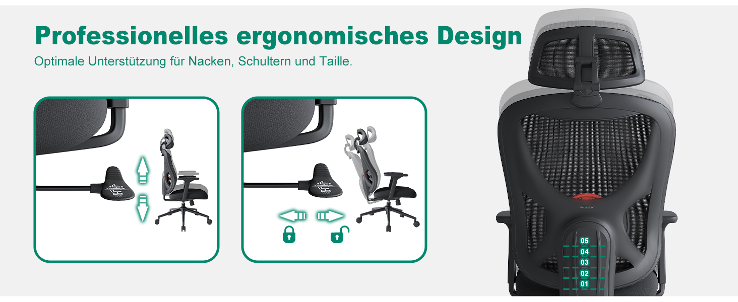 Eucladoceros Adjustable Backrest Ergonomic Office Chair with 3D Lumbar