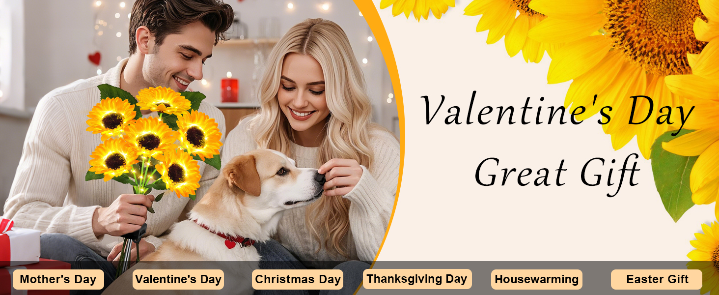 valentine's Day gifts