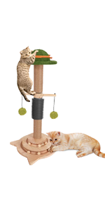 Cat Scratching Post