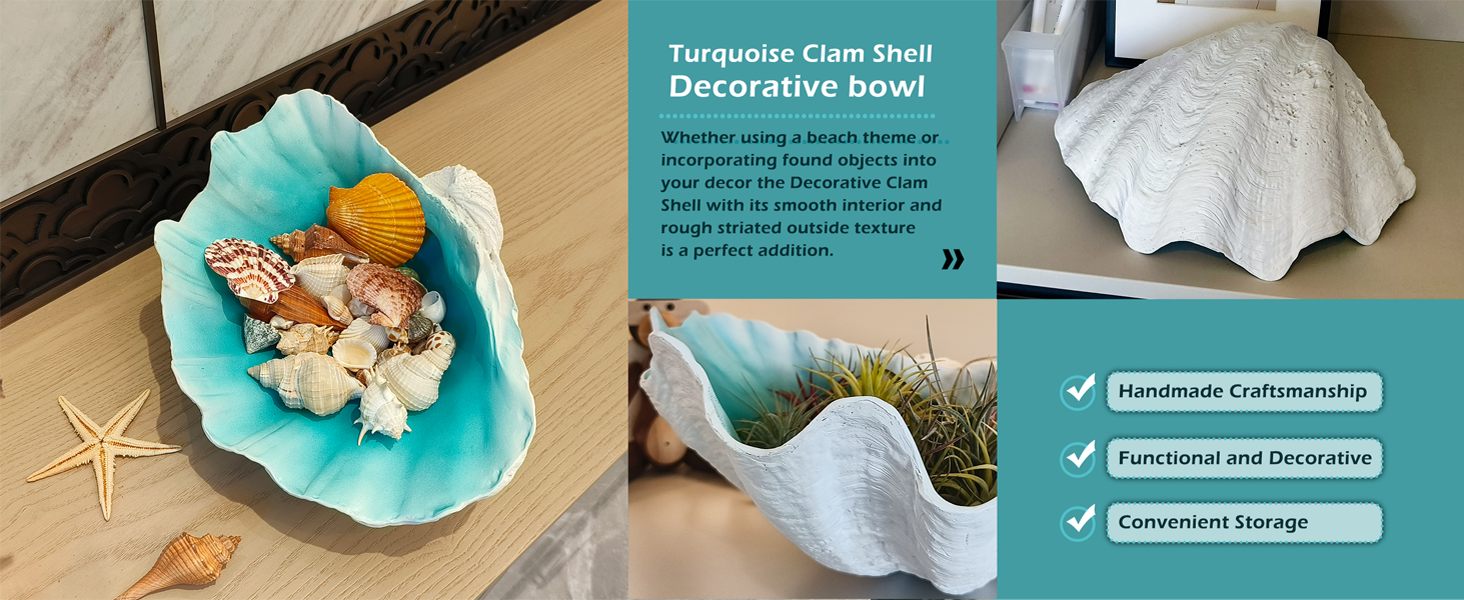Extra-Large-Clam-Shells-Decorative-Bowl-Turquoise
