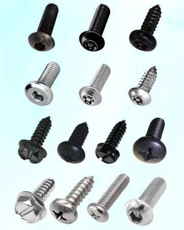 License Plate Screws