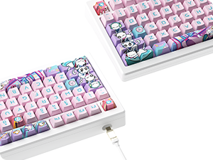 akko❗️ Akko Fairy Switch (Silent) | Akko Official Global Site