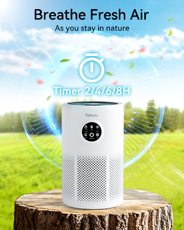 Air Purifier 10