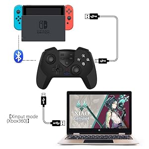 switch controller