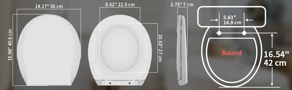 Toilet seat