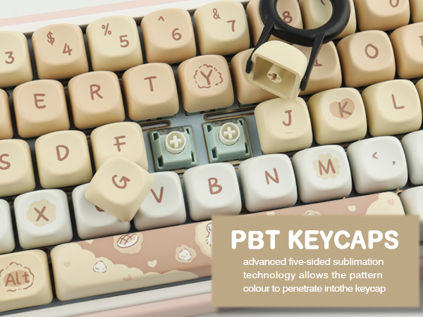 Amazon.com: Sunzit PBT MOA Keycaps - Cute Chiikawa Momonga