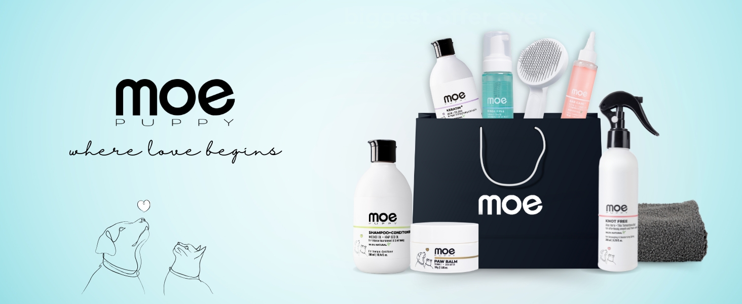 Moe all different types of product with moe bag with dog and cat, where love begin, pet care product