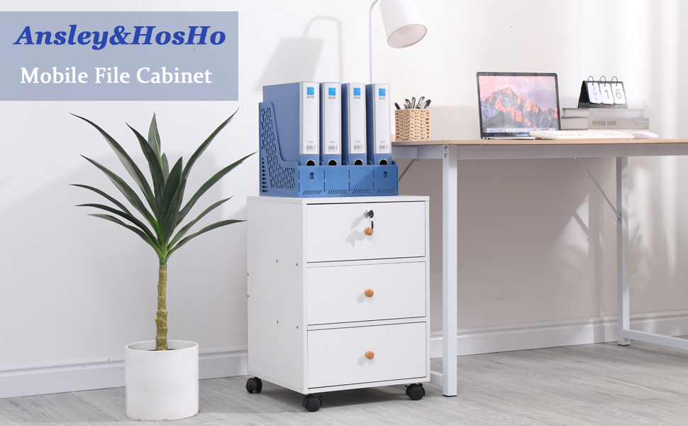 Ansley&HosHo Mobile File with 3 Drawers, Slim File