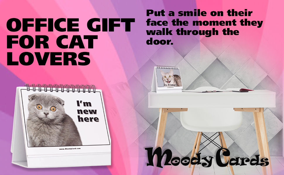 Funny Office Gift For Cat Lovers, Cat Moodycards on a Desk