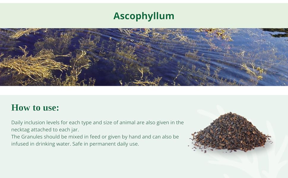 Pet & Equine seaweed 200g How to use