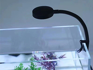 小さな水槽のクリップライト