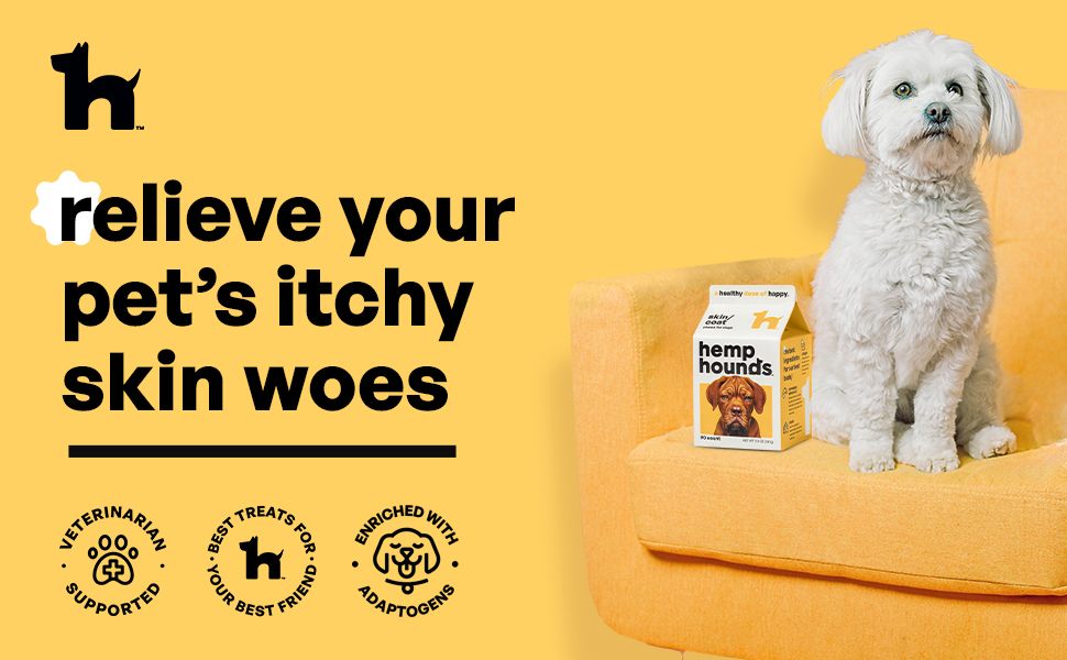 white small dog sitting next to veterinarian supported skin and coat supplement for dogs with biotin