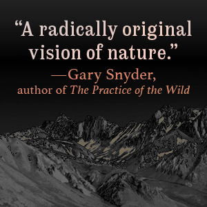 Gary Snyder quote