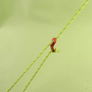 Windproof ropes, tent stakes, glow-in-the-dark stakes