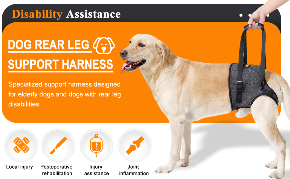 Dog Lift Harness