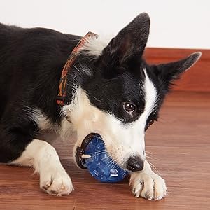 dog toy ball aggressive chewer,puppy chew toys teething,durable dog toy ball,durable puppy toy