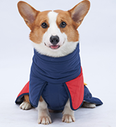 dog coat