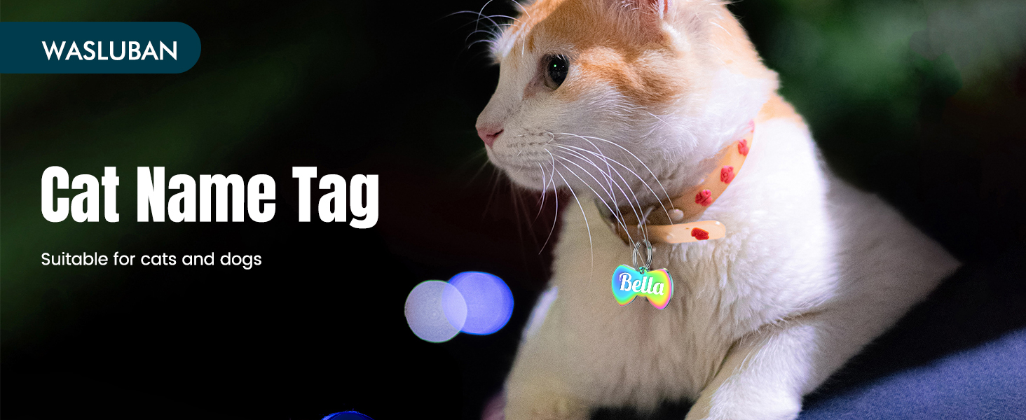 Cat ID Tags Personalized Stainless Steel Round Cat Name