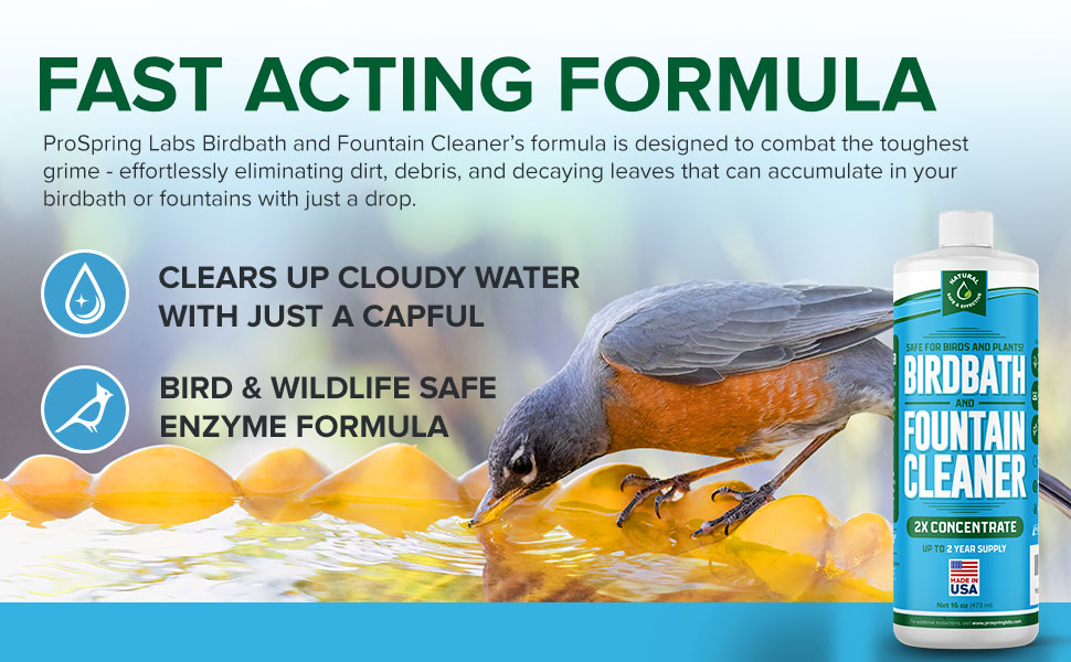 Birdbath & Fountain Cleaner 16 oz Fountain Maintenance