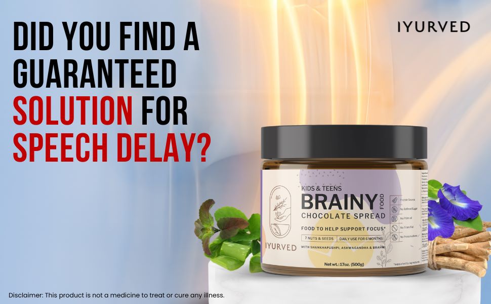 brain booster, chocolate spread, nut spread, seeds, ayurvedic herbs