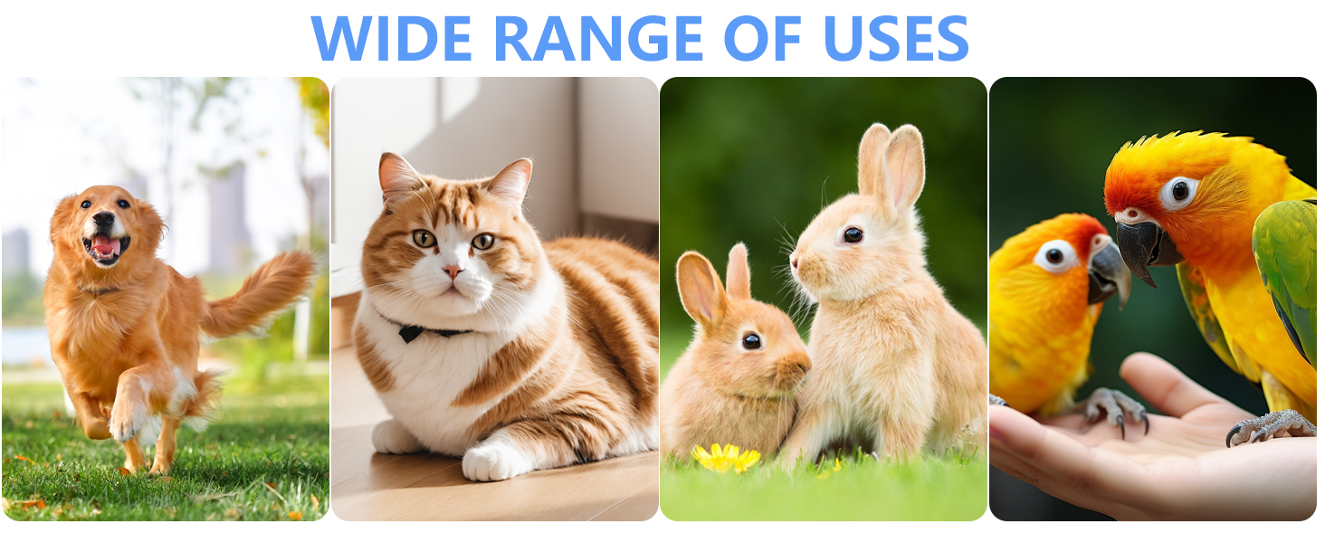 large dog nail clippers