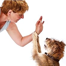 Rescue and Senior Dogs