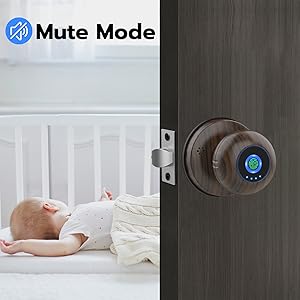 smart door knob
