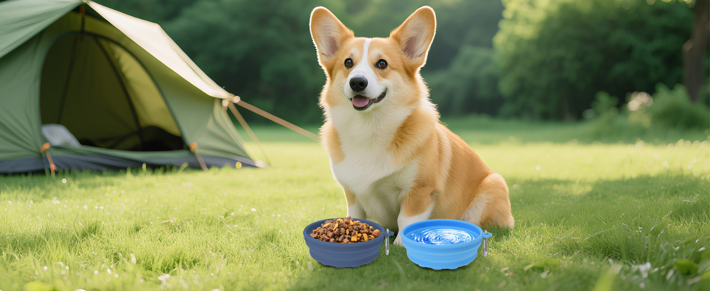 collapsible dog bowls