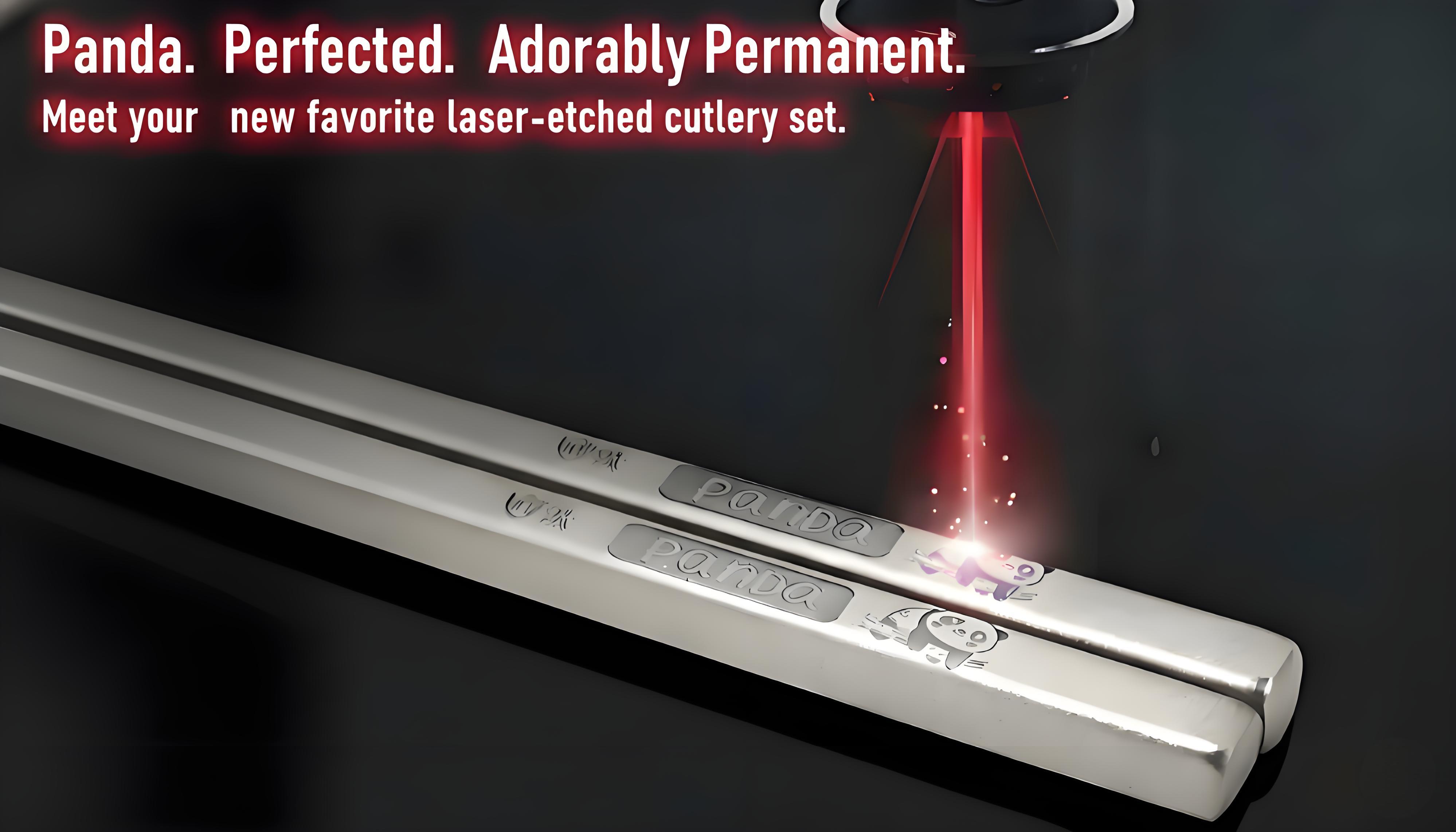 Titanium-plated stainless steel chopsticks with Training Helpers - Premium Reusable Non-Slip & Lightweight Metal Chopsticks Set, Dishwasher Safe, Furniture Kitchen Premium Gift Set (Silver）