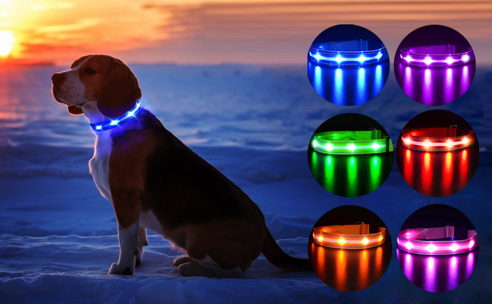 MASBRILL LED Dog Collar Light Up Dog Collars Rechargeable Lighted Dog Collar
