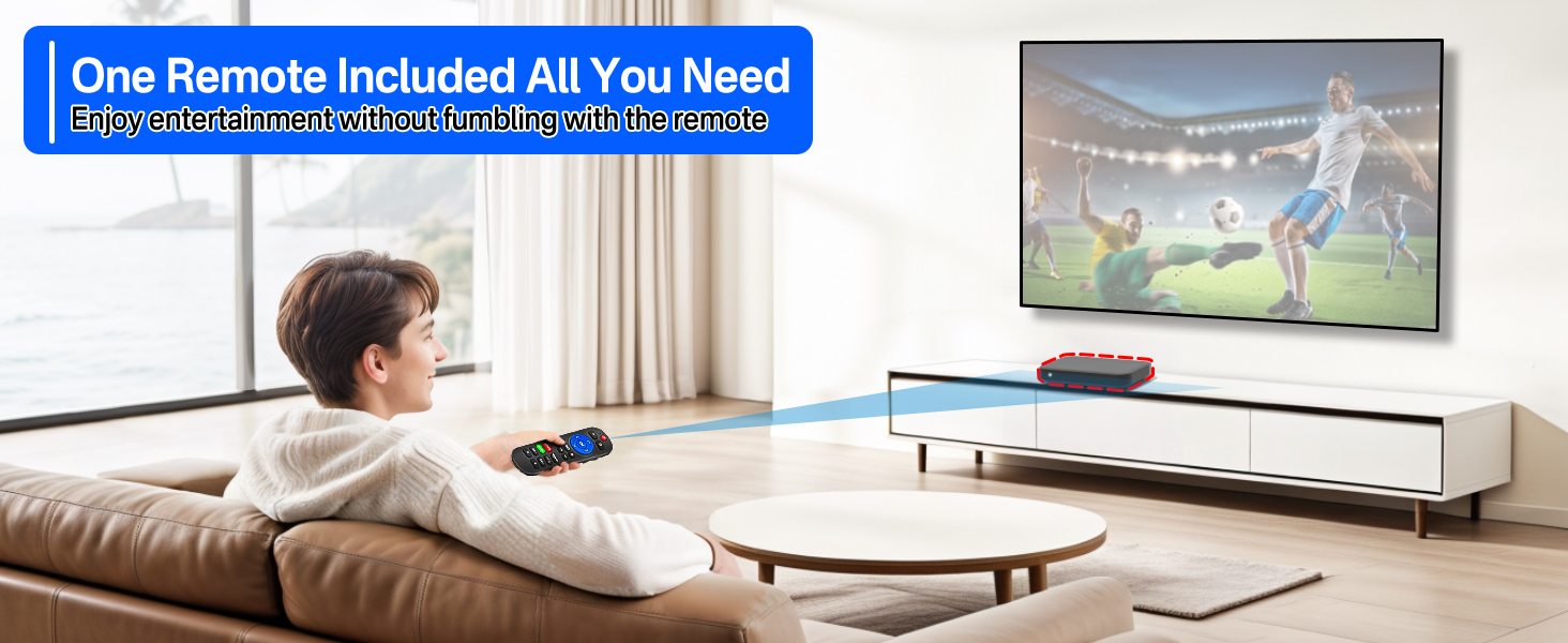 Programmed Remote for Roku