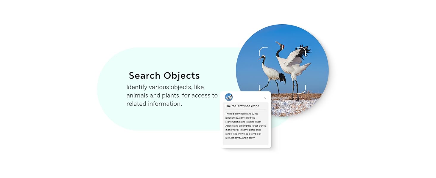 aplus content image