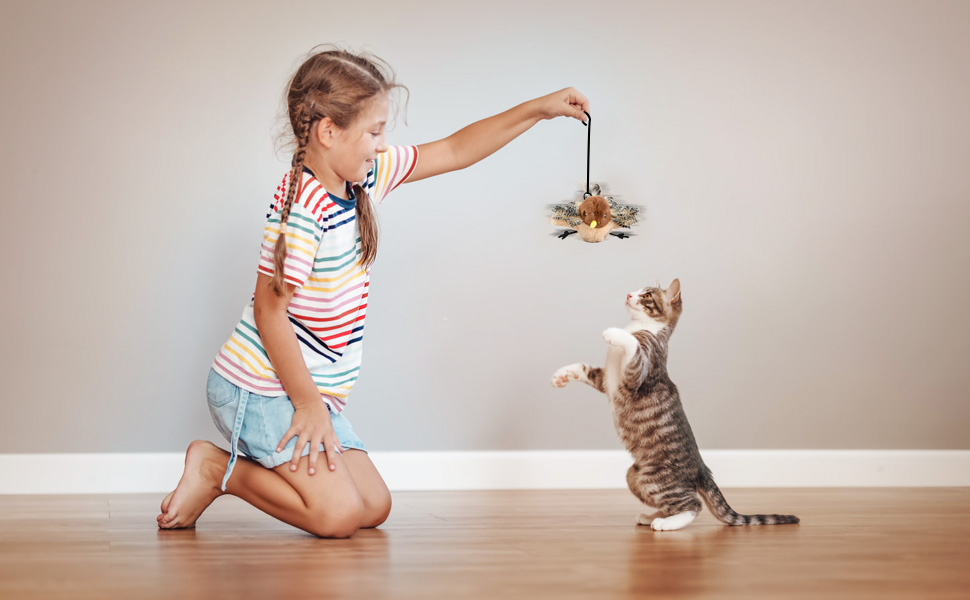 Wings Sparrow Toys, Vivid Chirping, Electric Interactive Cat Toy for Kitten Kitty, Touch Activated