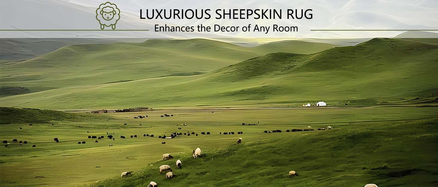 sheep skin rug