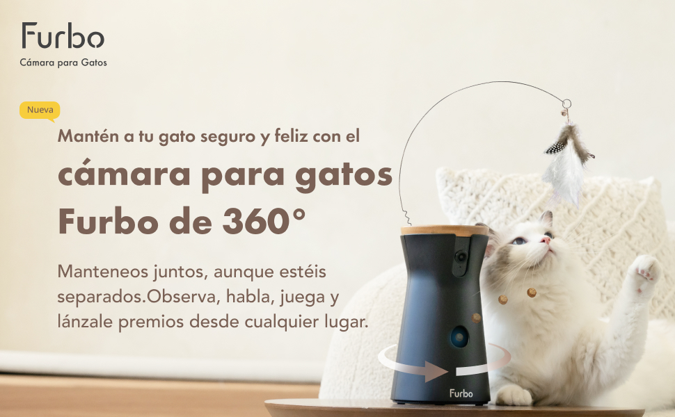 Gato SA_KV