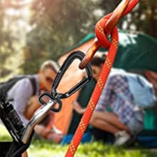 carabiner with D ring