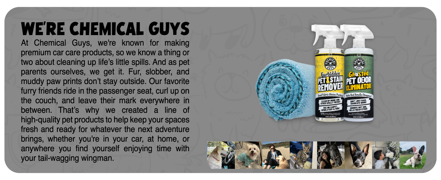 Pet Hair Removal Brush from Chemical Guys