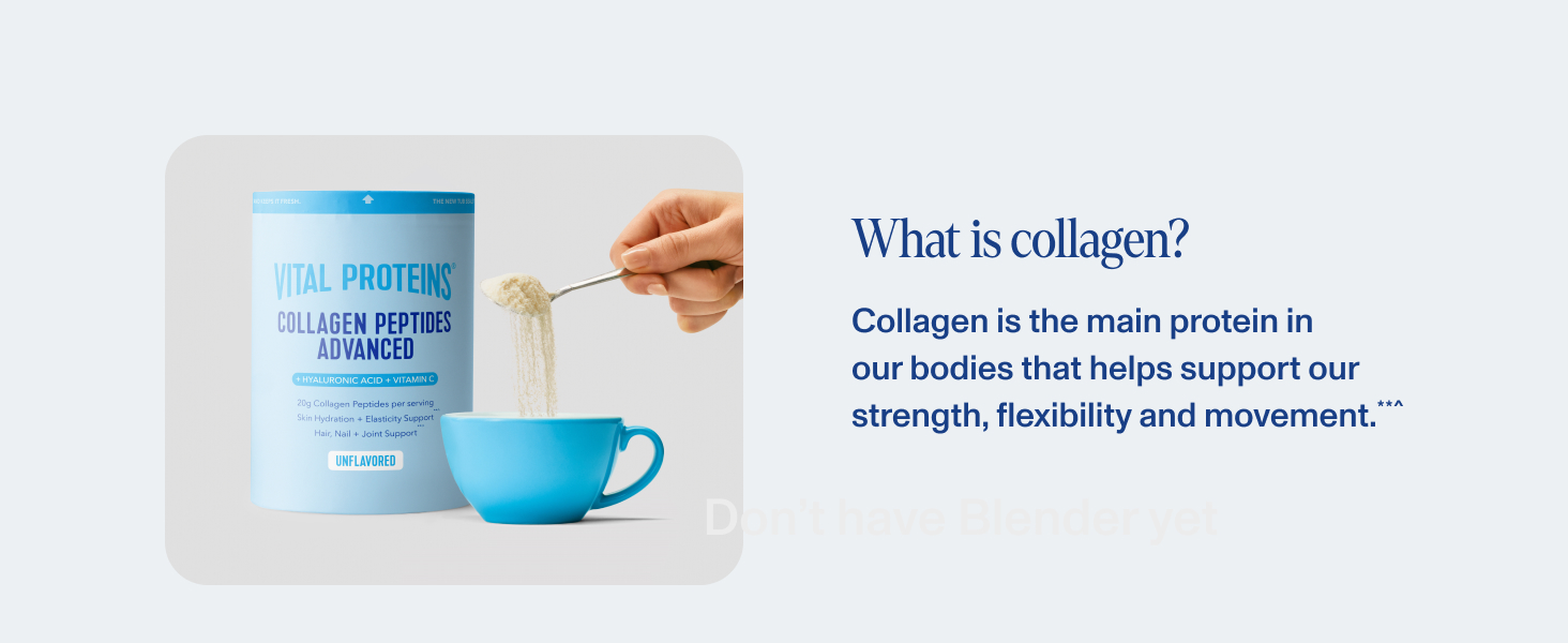What is collagen?