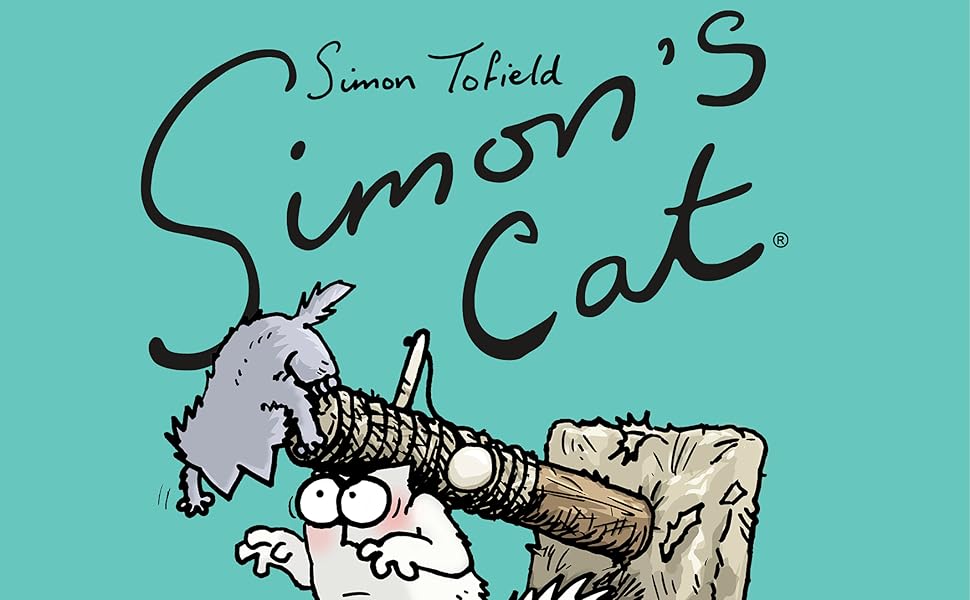 Simon's Cat 2023 Box Calendar Simon Toefield 9781549229107 Amazon