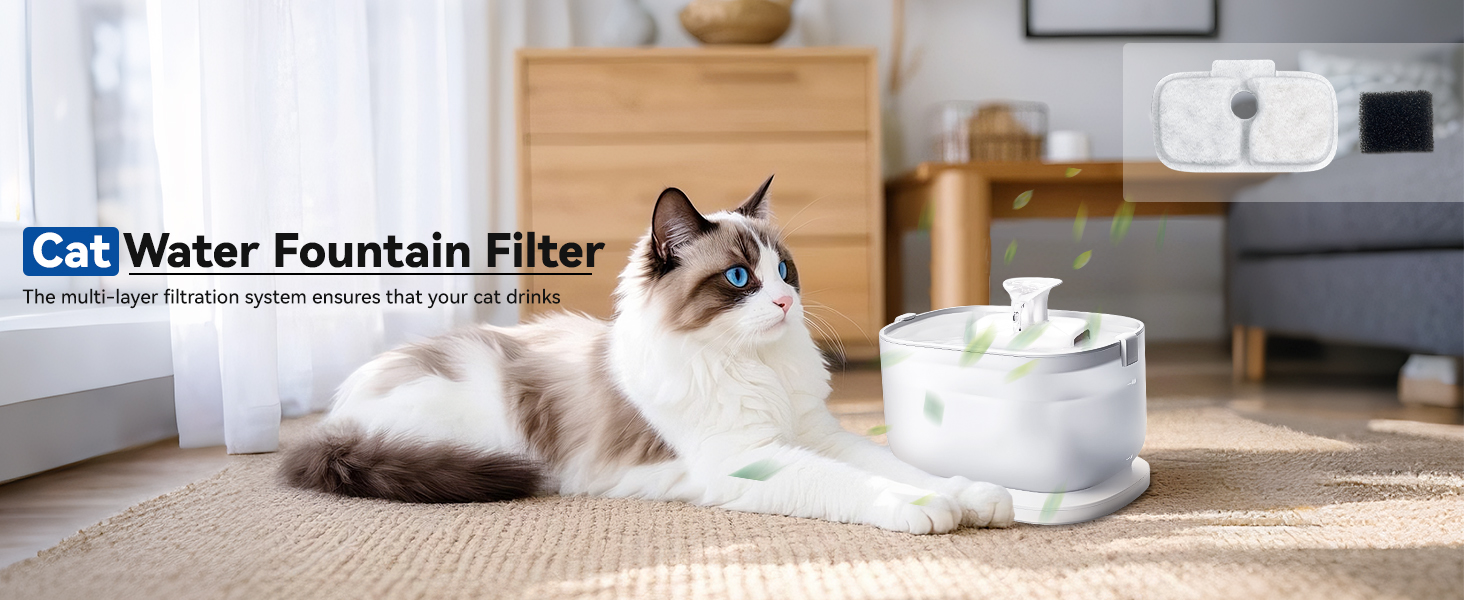 water fountain filters