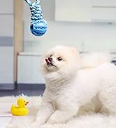 Nobleza Puppy Rope Toy, 10 Pack Durable Teething Dog Chew Toys, Tough Washable Cotton Dog Toys Se...