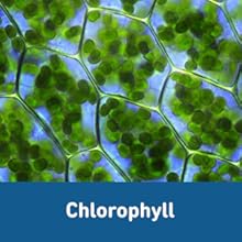 Small manufacture image 7