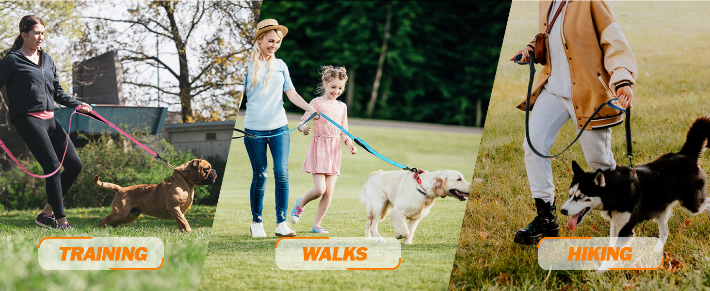 Brilliant Paw Double Handle Dog Leash, 6 Ft Reflective Walking Lead, Comfortable