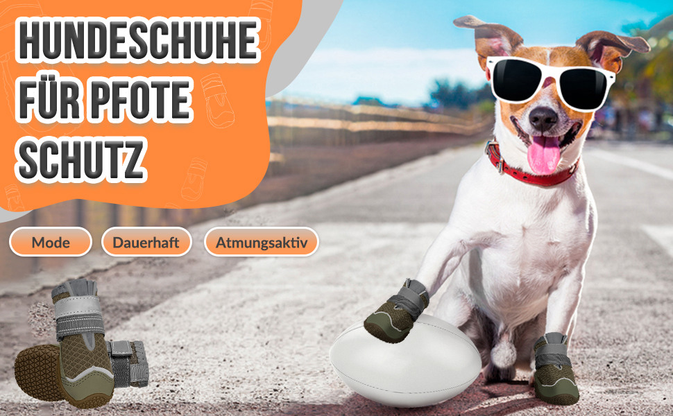 hundeschuhe